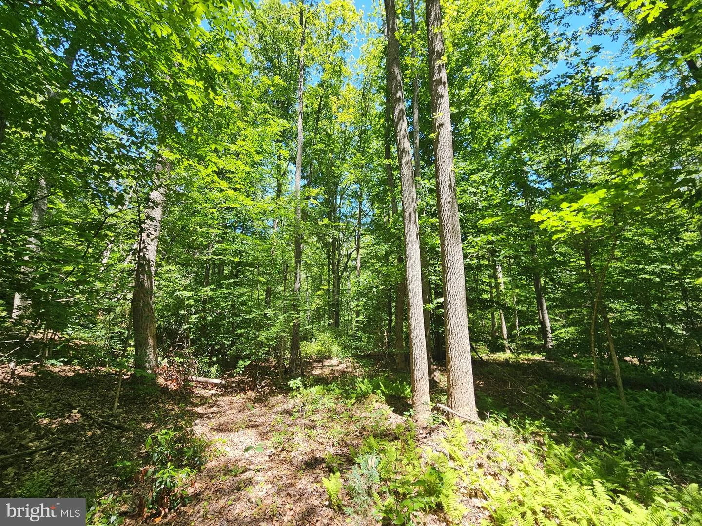 15 AC Manteo Road, Buckingham, VA, 23921