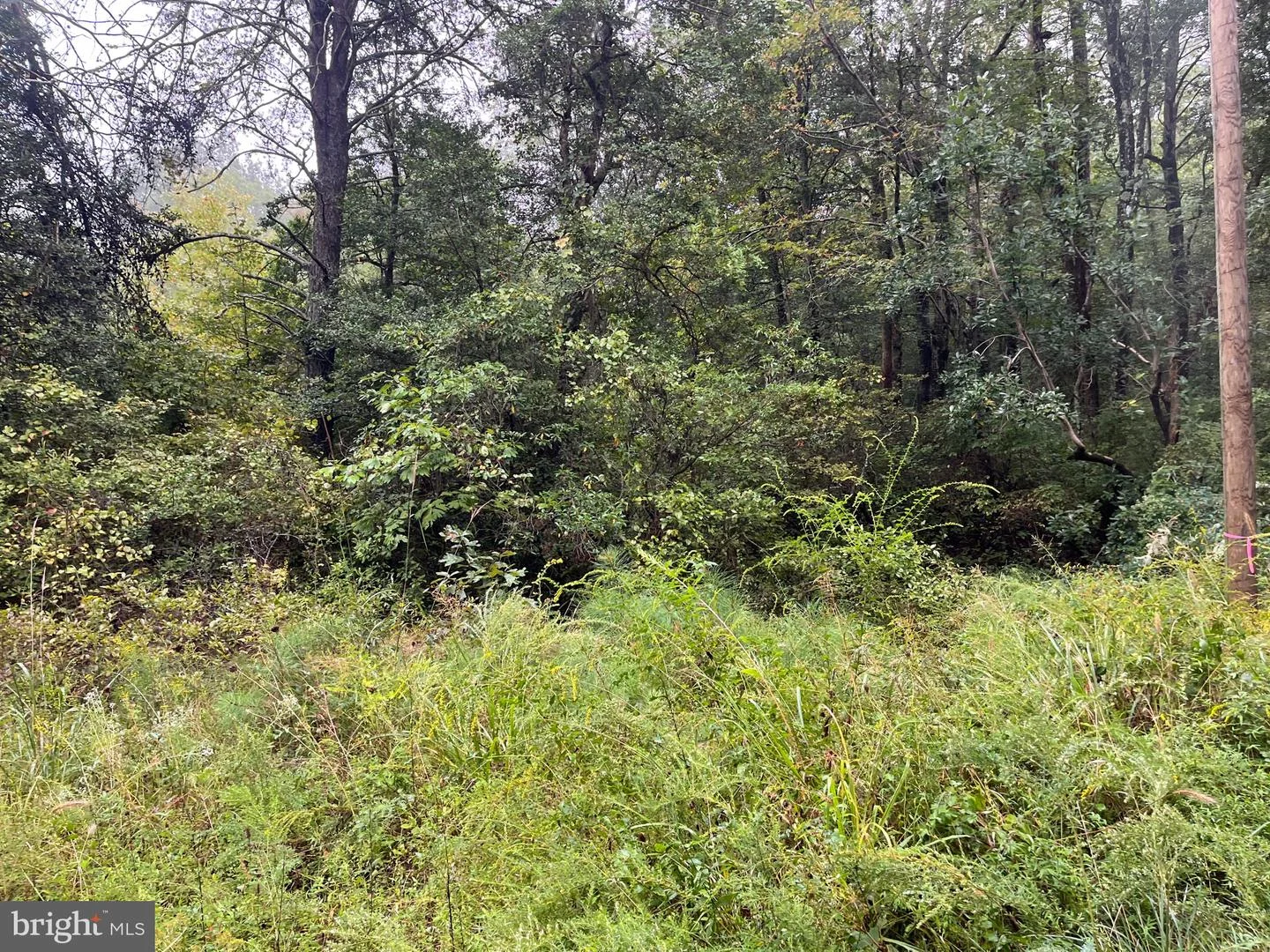 Lot 20 Chrystal Rd. Rd