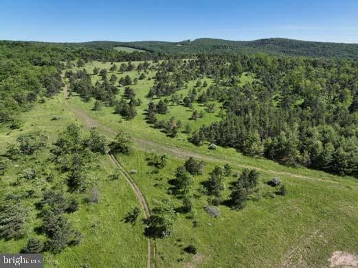 Pine Hill Road, Lonaconing, MD, 21539