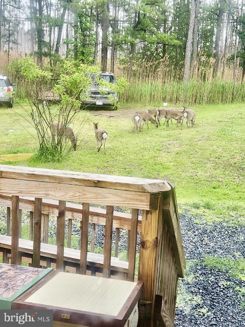 2420 Toddville Road, Wingate, MD, 21675