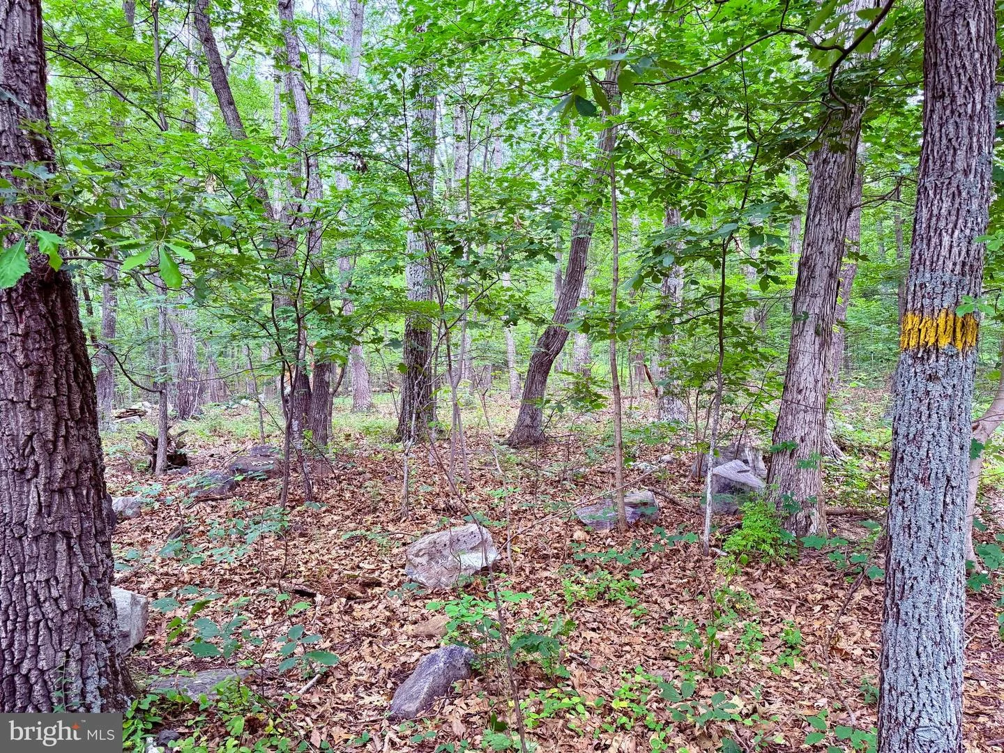 21908 White Oak Road