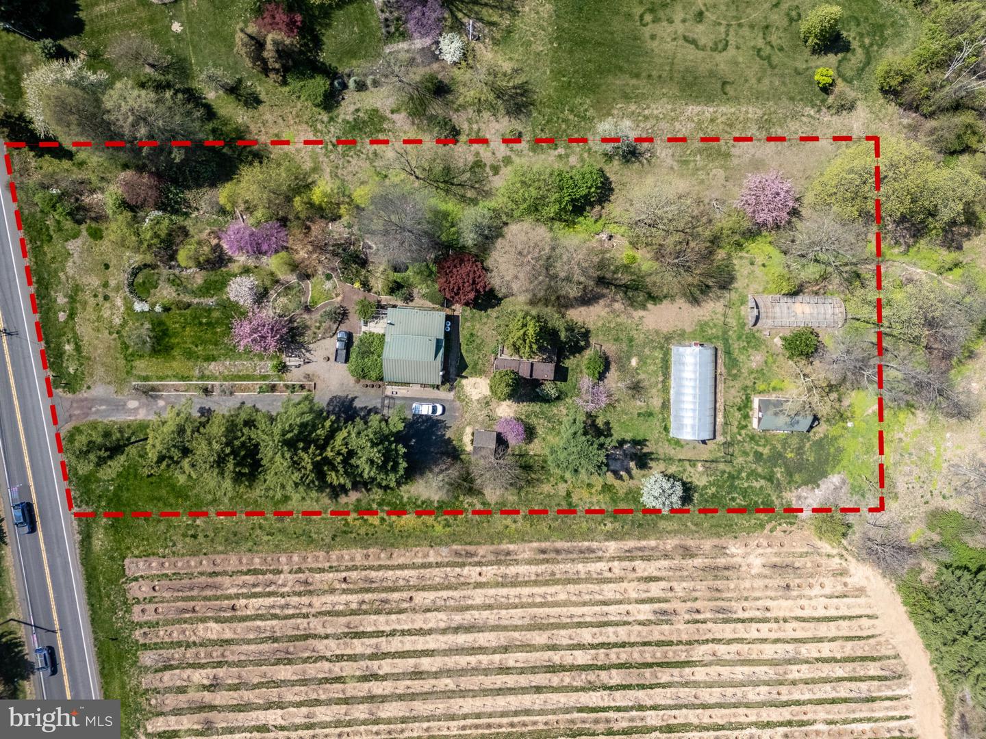 Listing image 1