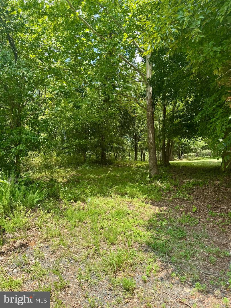 9914 Old Fort Road, Fort Washington, MD, 20744