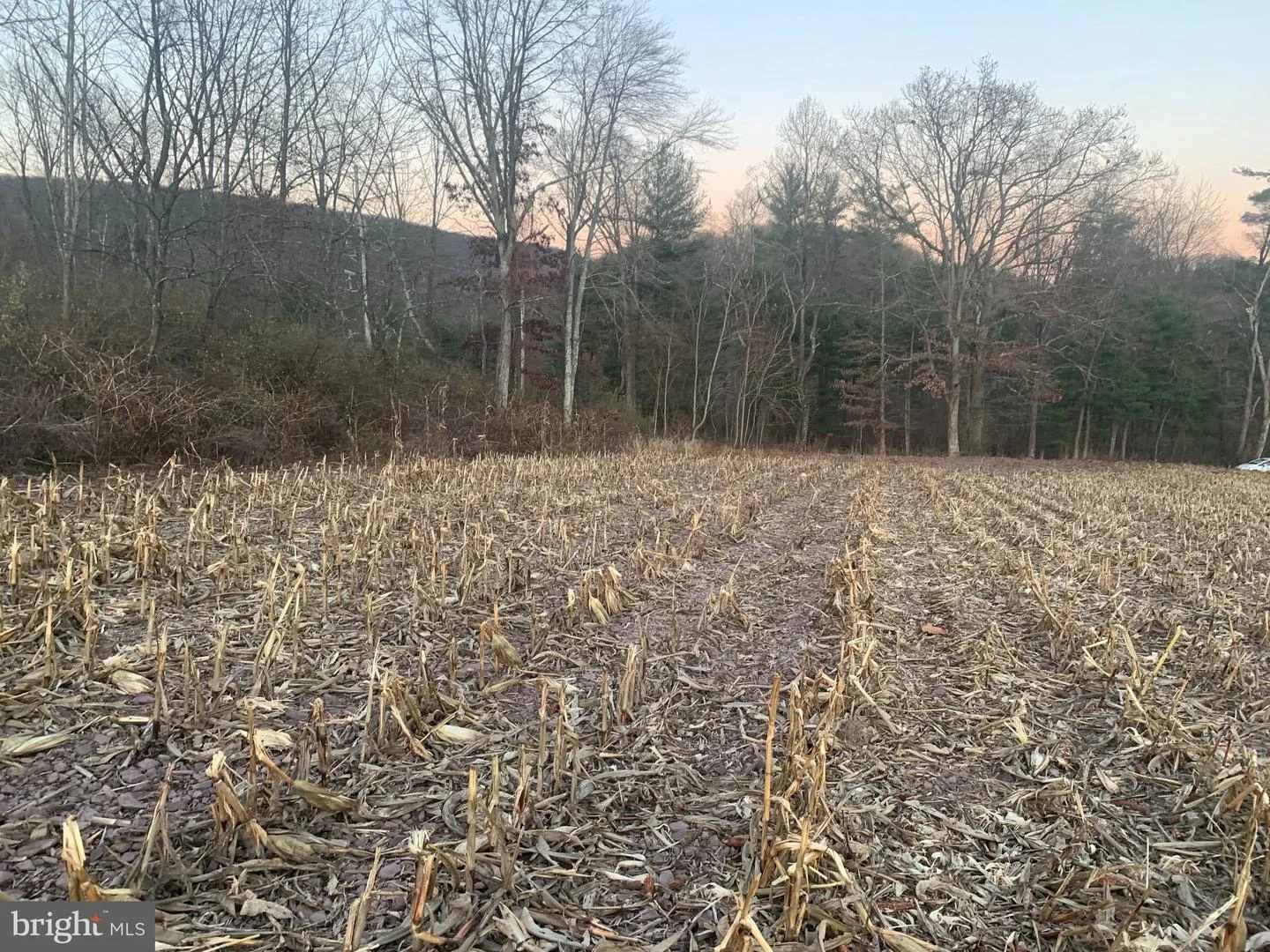 0 West Side Of Stein Road