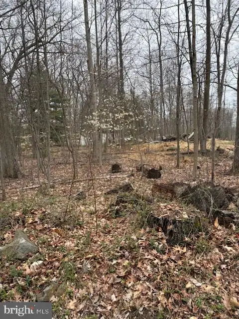 1716 Snyder Road, Green Lane, PA, 18054