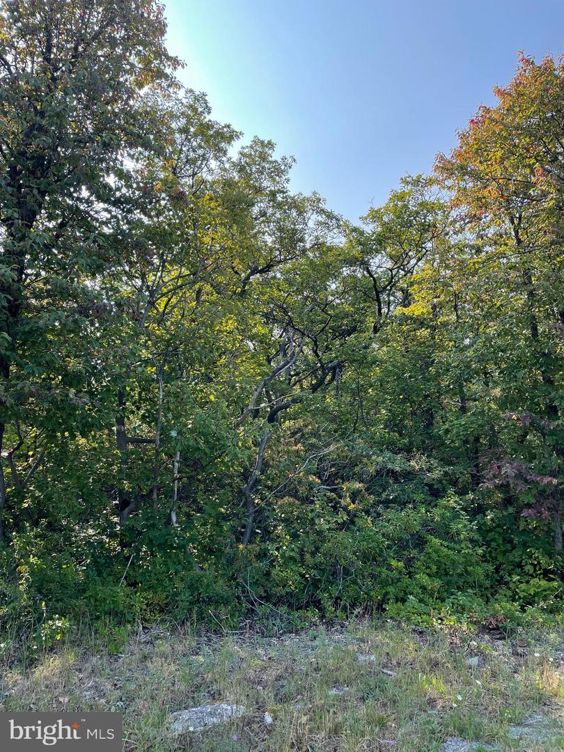 Lot 231 Timber Ridge, Winchester, Virginia image 1