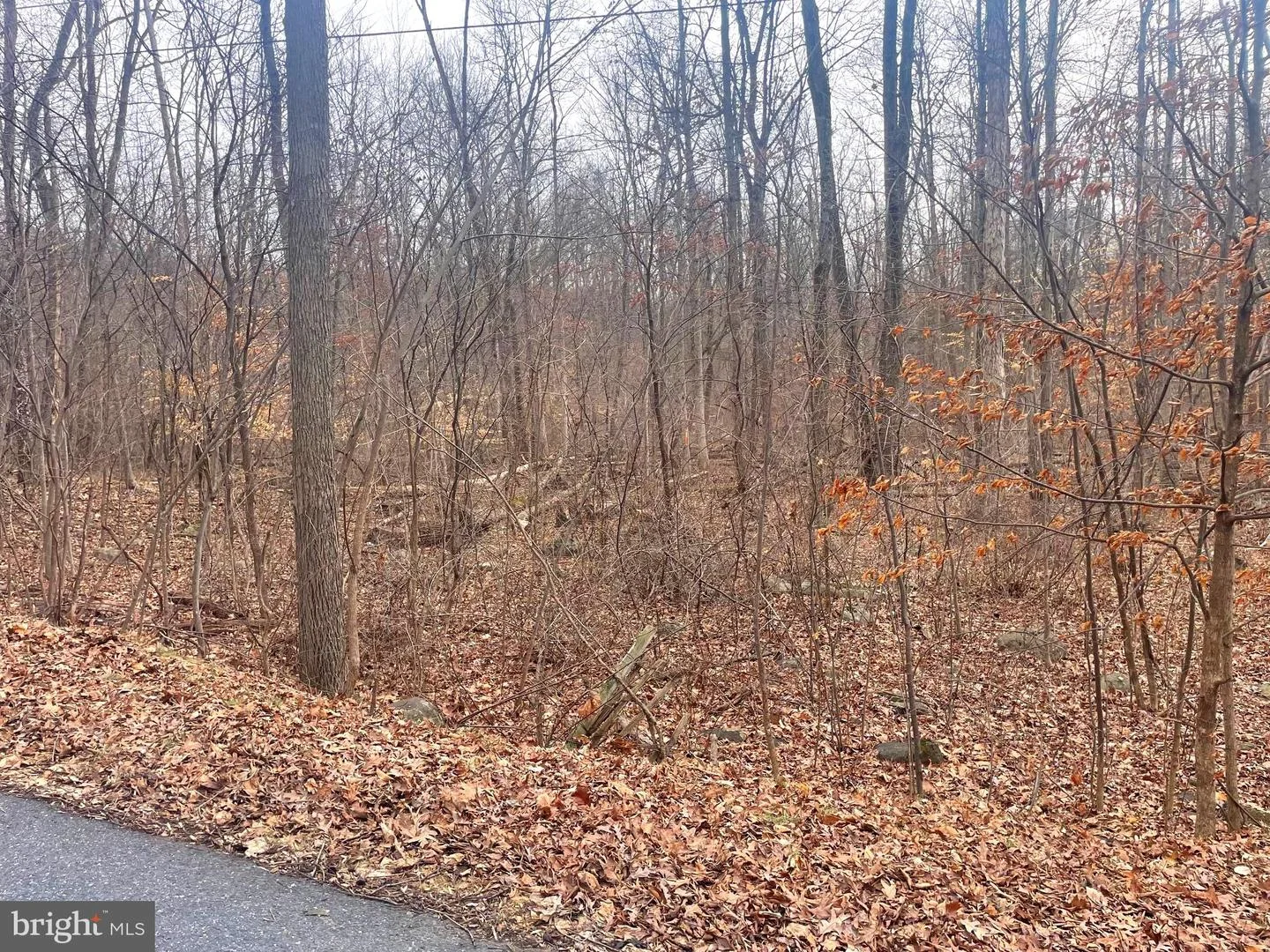 163 Blair Mountain Road