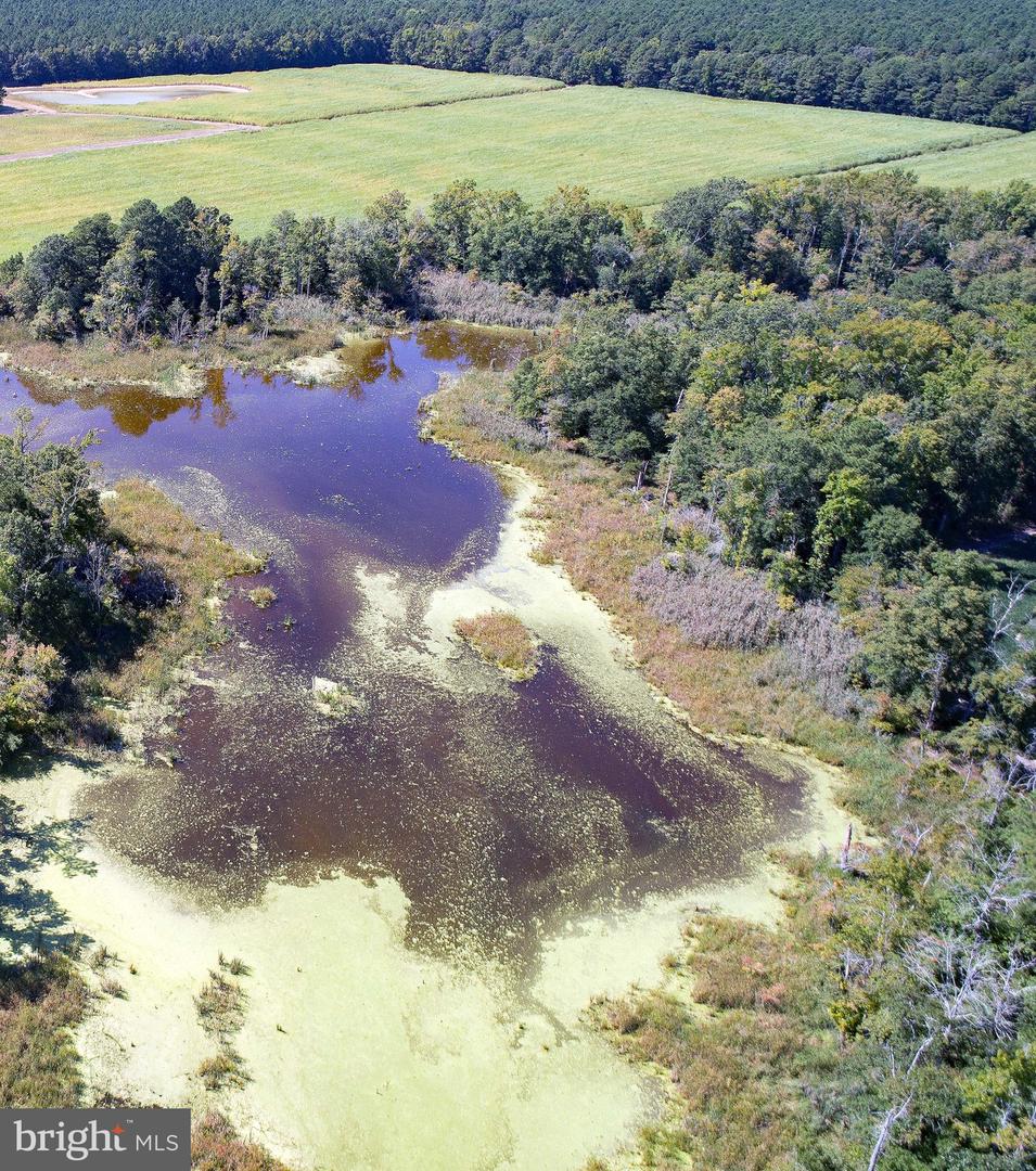 Buttons Neck Rd, Church Creek, Maryland image 48