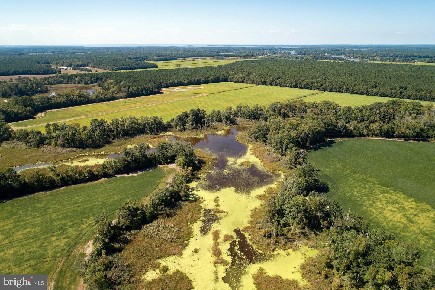 Buttons Neck Rd, Church Creek, Maryland image 45