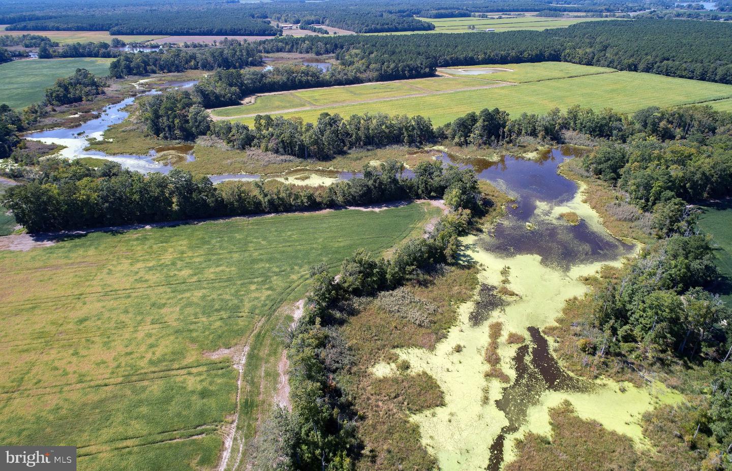 Buttons Neck Rd, Church Creek, Maryland image 44