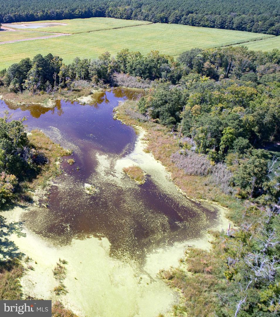 Buttons Neck Rd, Church Creek, Maryland image 7