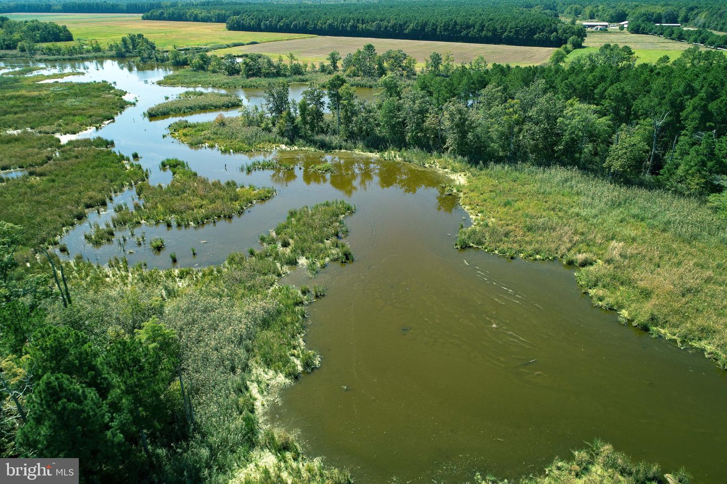 Buttons Neck Rd, Church Creek, Maryland image 40