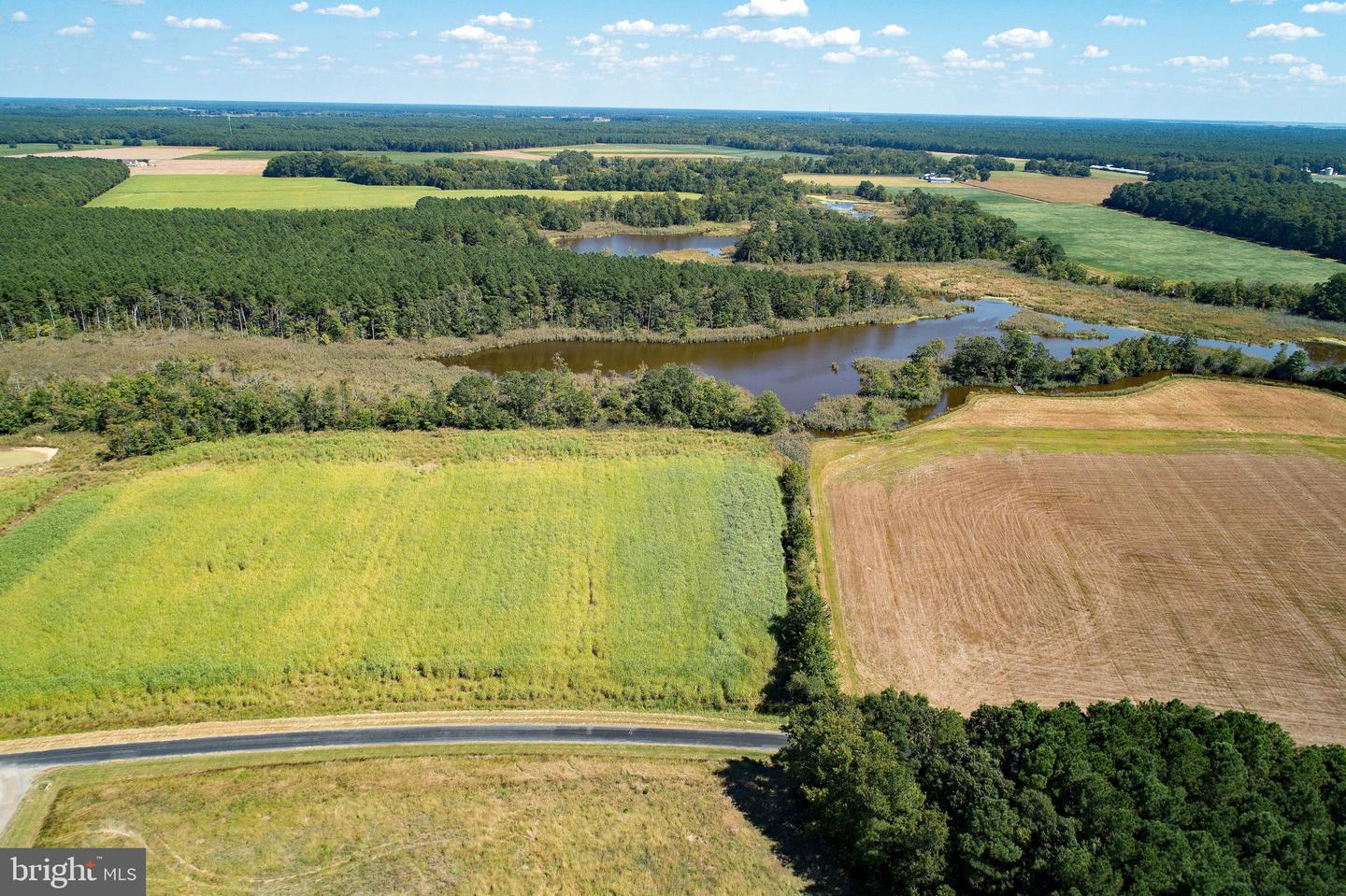 Buttons Neck Rd, Church Creek, Maryland image 33