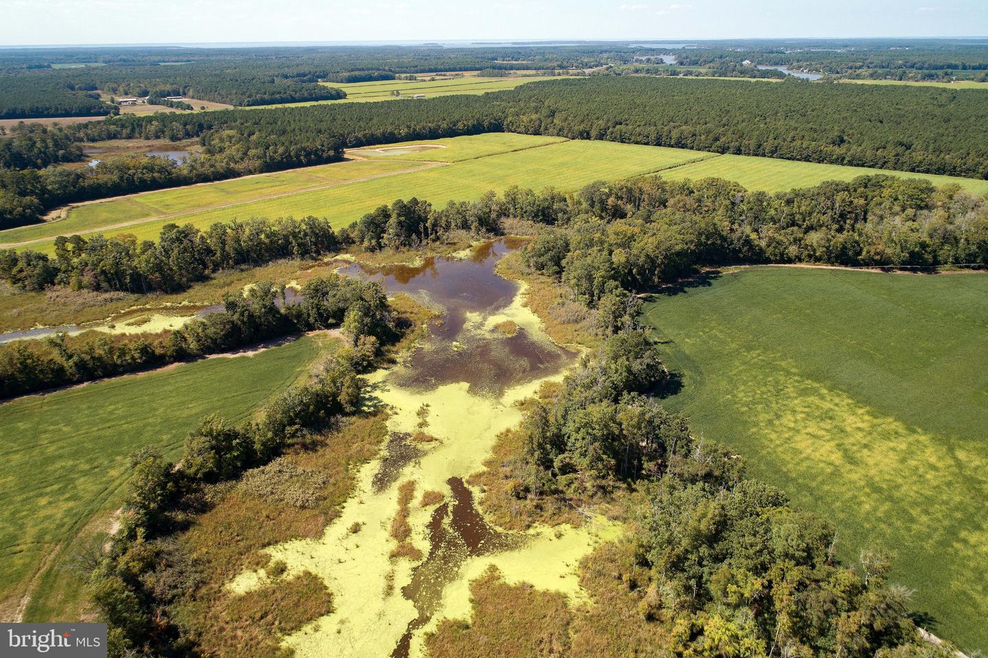 Buttons Neck Rd, Church Creek, Maryland image 43