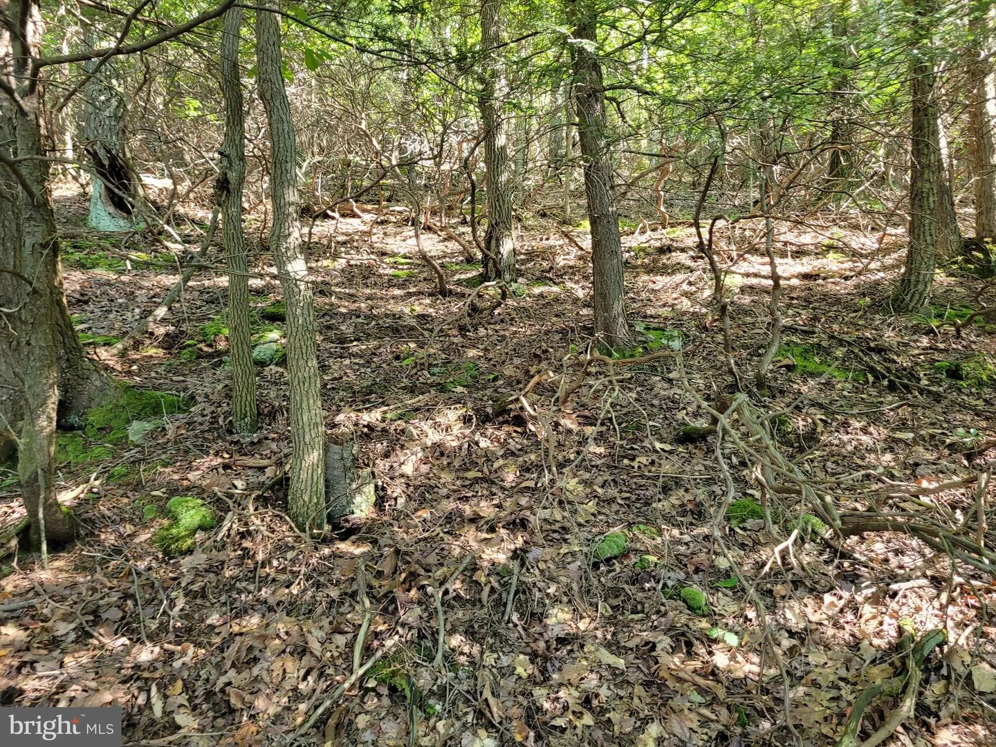 Lot 89 Ridge Run, Claysburg, PA, 16625