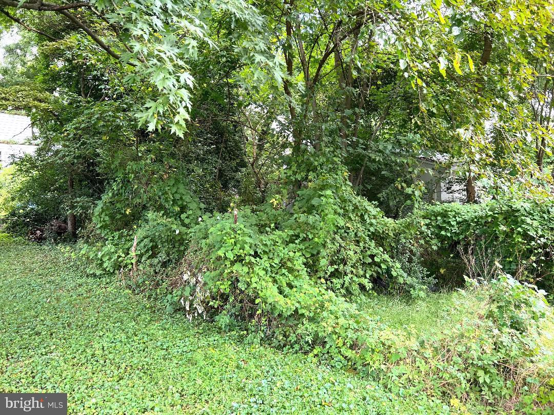 Photo 4 of 4 of 500 Denham Rd land