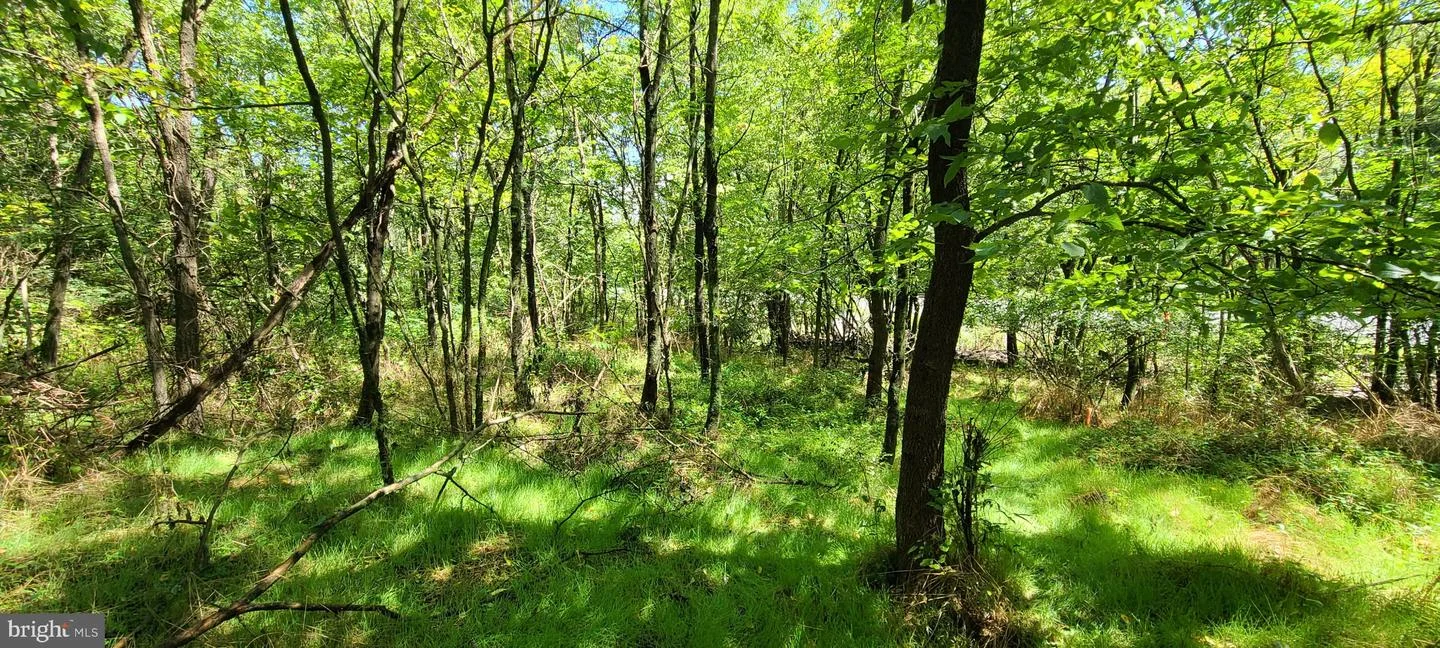 209 Mineral Street, Middletown, VA, 22645