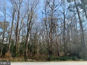 Bypass Road, Pocomoke City, Maryland image 1