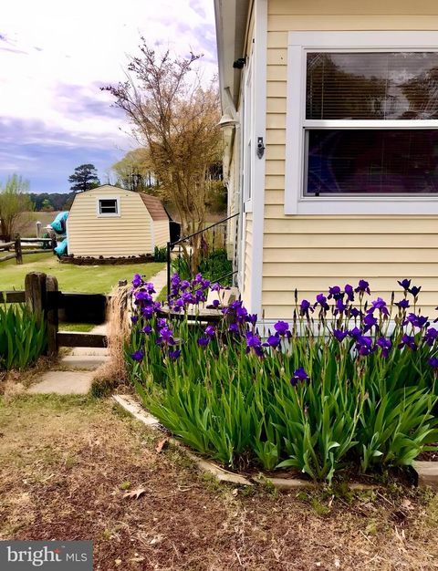 Mobile Home in Lewes DE 35060 South DRIVE.jpg