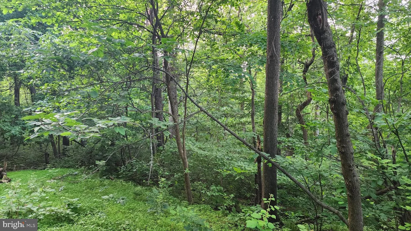 50 Oak Ridge Trail