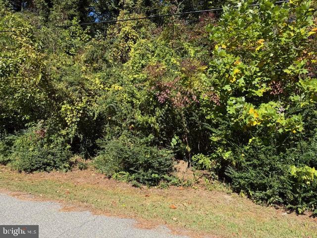 340 Chestnut Dr
