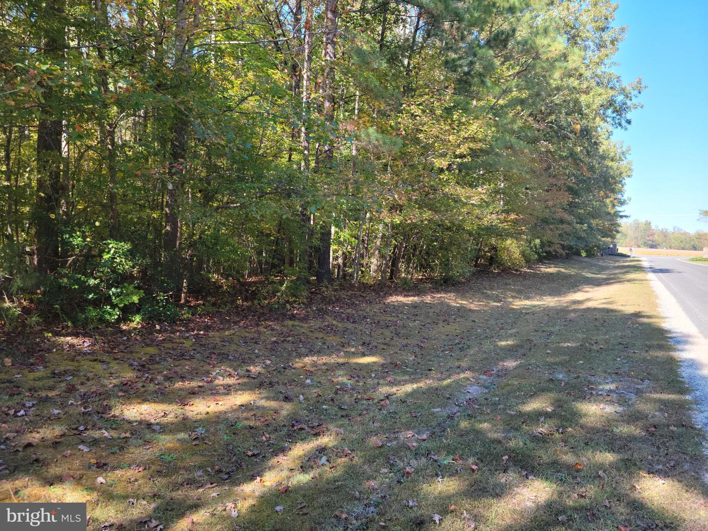 Lot 16 Steamboat Lane, Heathsville, Virginia image 1