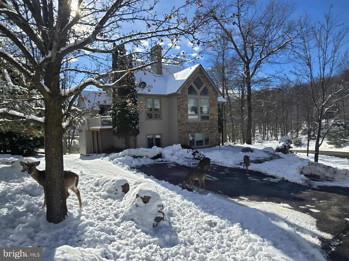 64 Longview Drive