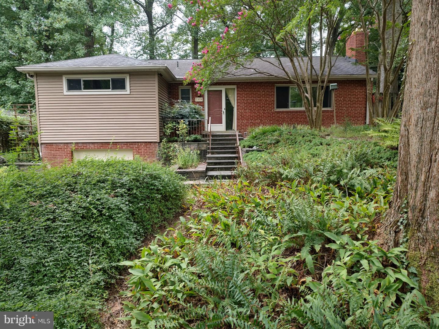 View Silver Spring, MD 20904 house