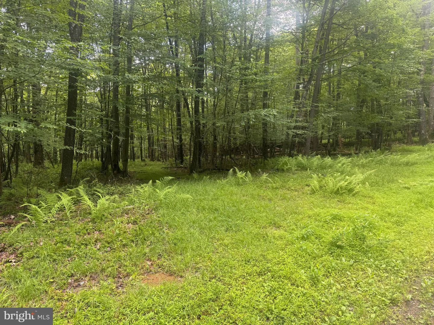 Lot 18 Buck Drive