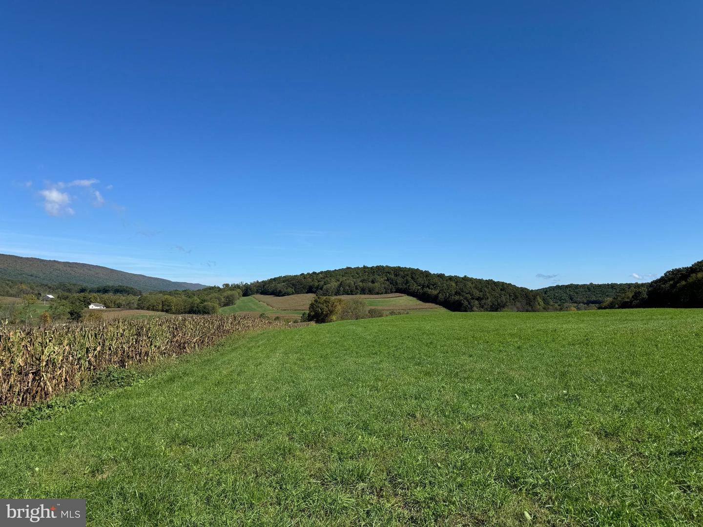 119+/- Acres Backbone Rd, Entriken, Pennsylvania image 25