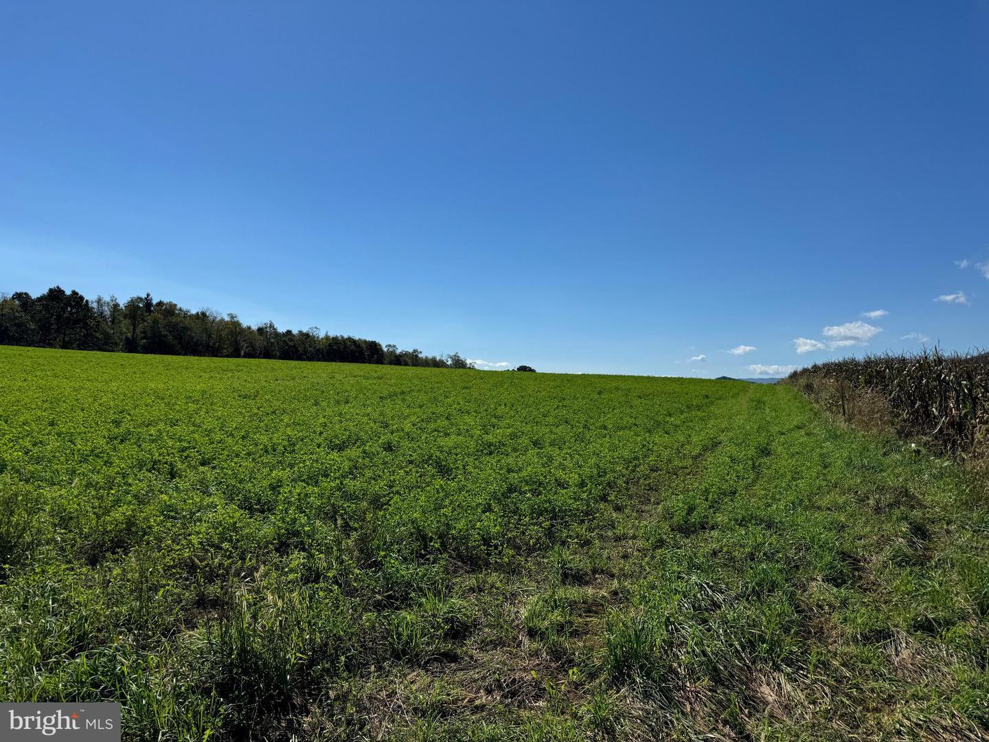 119+/- Acres Backbone Rd, Entriken, Pennsylvania image 26