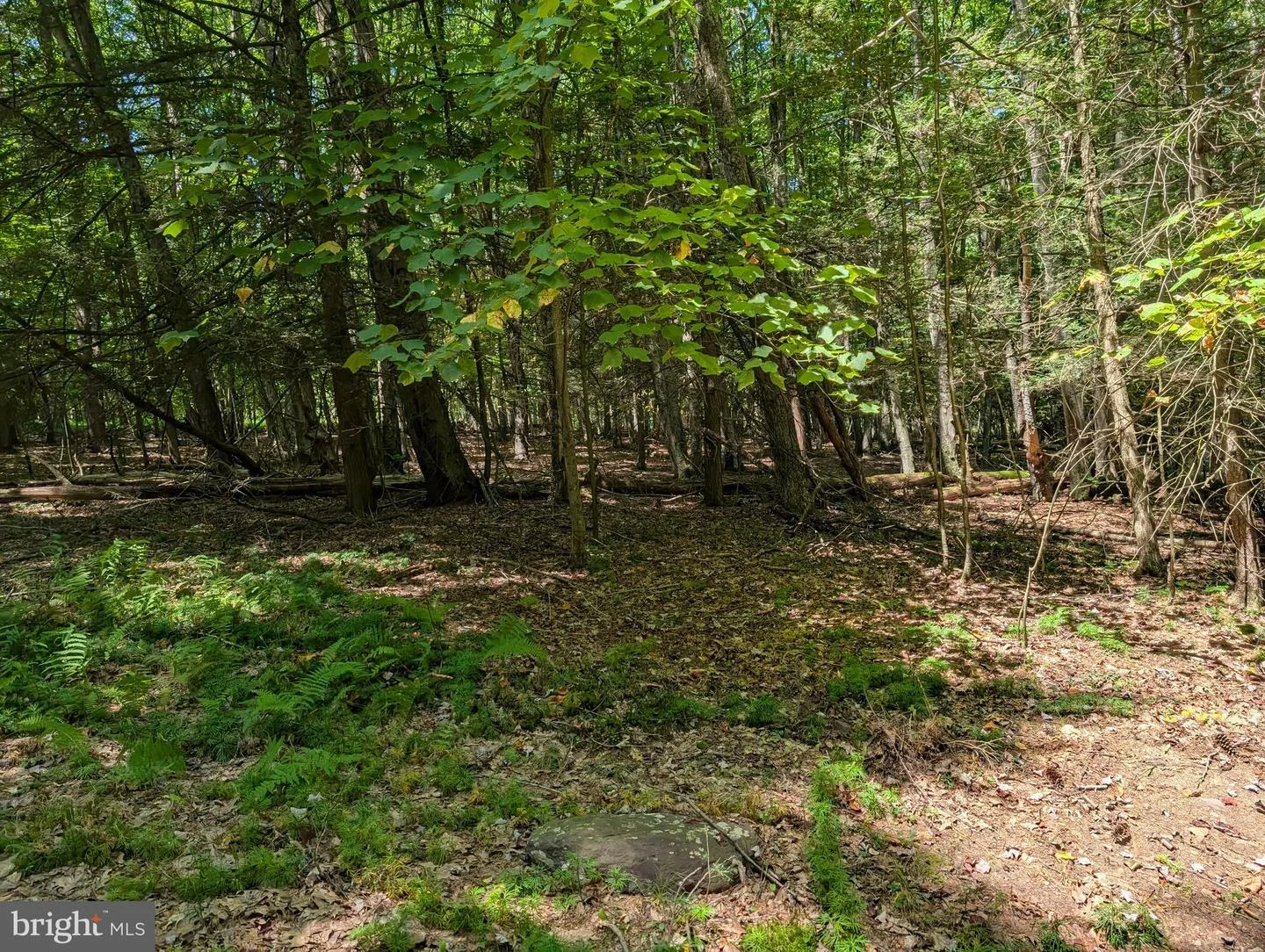 271 Kearkuff Road, Benton, PA, 17814
