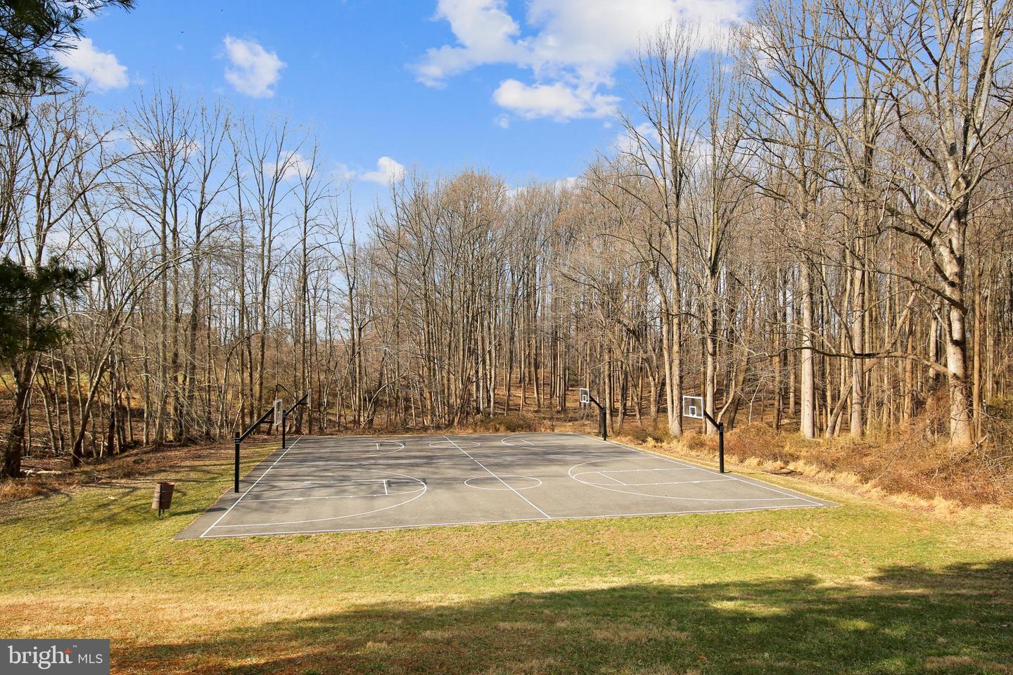 Photo 41 of 56 of 2831 Shepperton Ter townhome