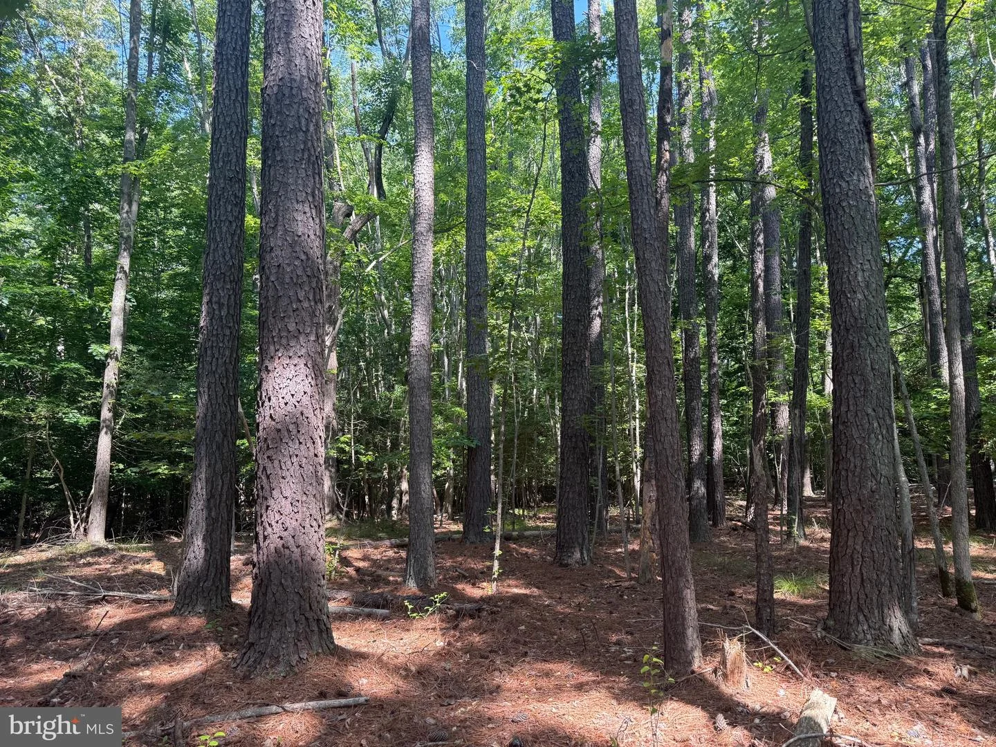 13435 Dowell Road, Solomons, MD, 20688