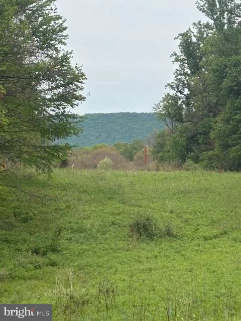 1311 Red Hill Road, Dauphin, PA, 17018