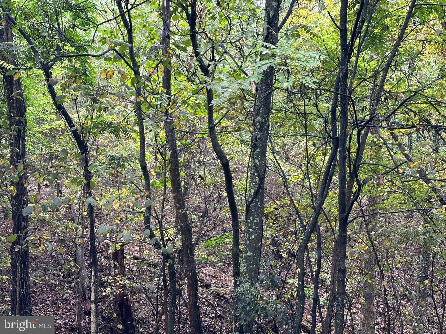 Lot 7 Oak Drive