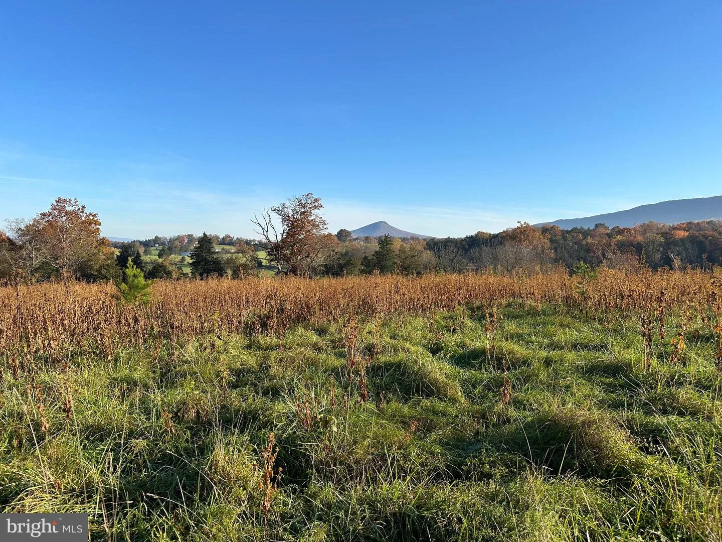 Smith Creek Road, New Market, VA, 22844