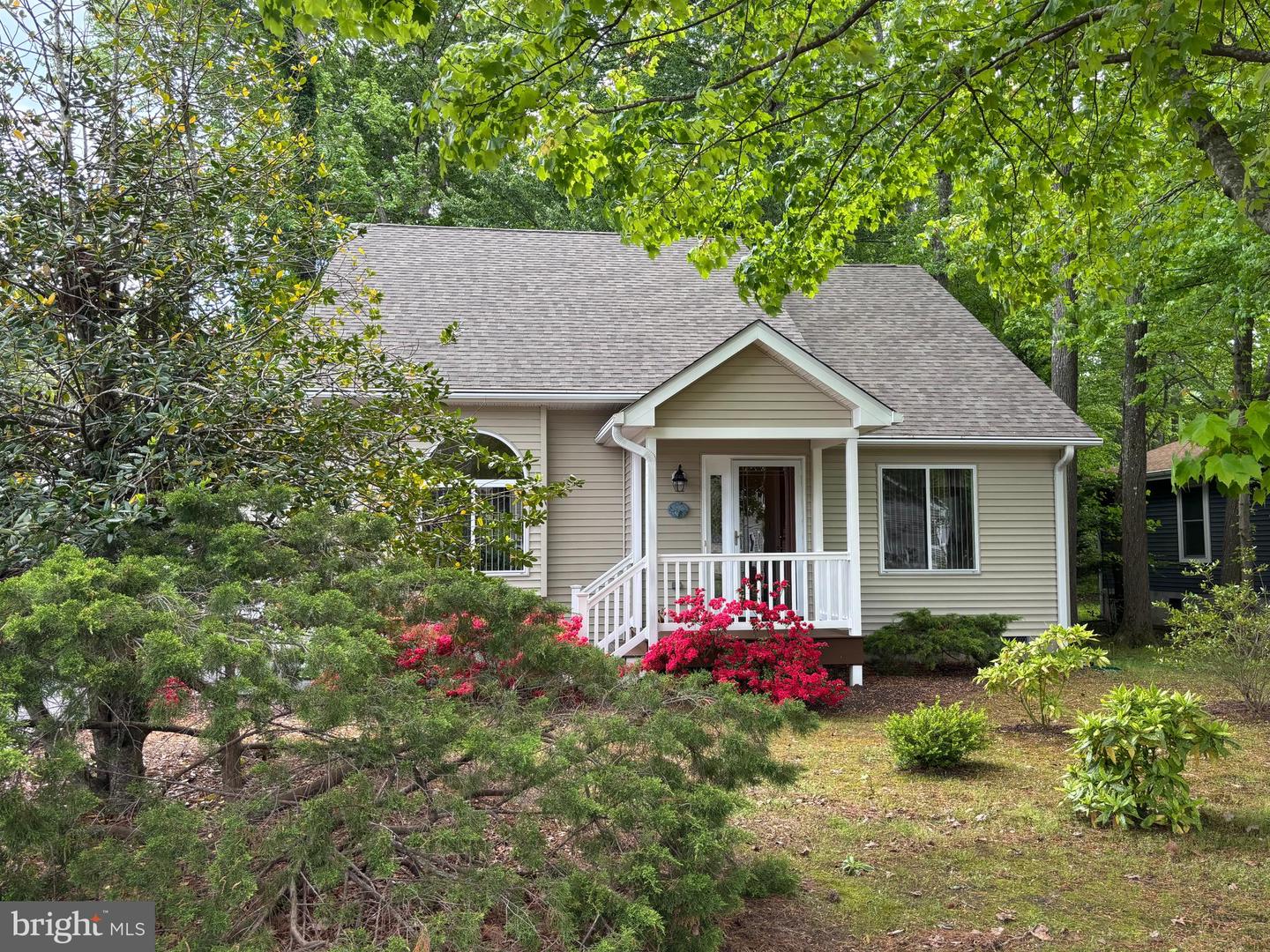 Listing image 3