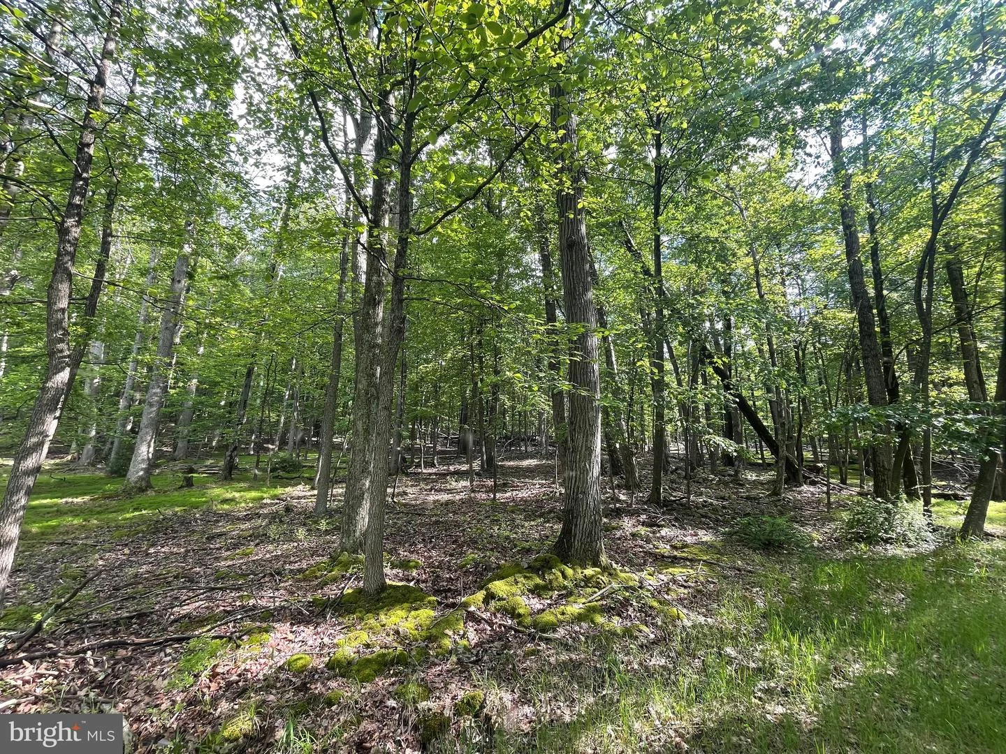 374 Davos Circle, Zion Grove, PA, 17985