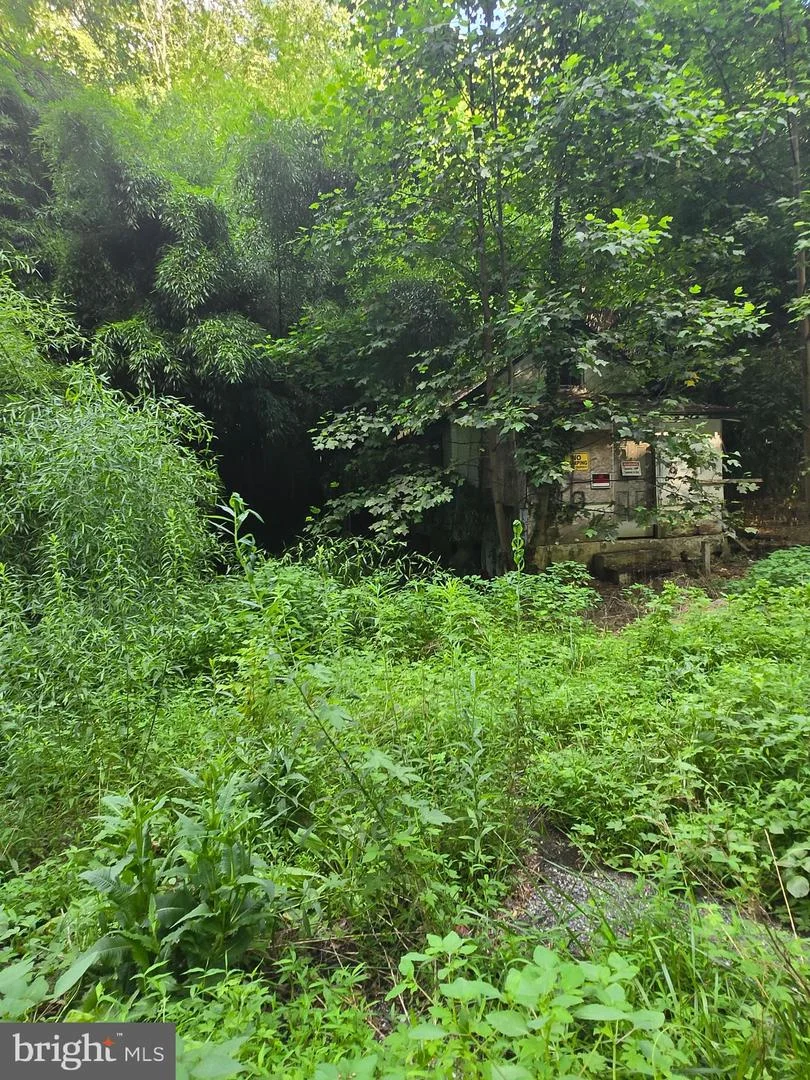 1012 Glenside Road