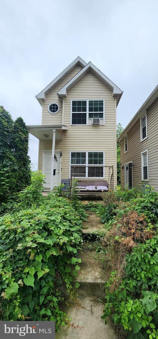 19 Virginia Avenue, Brunswick, MD, 21716