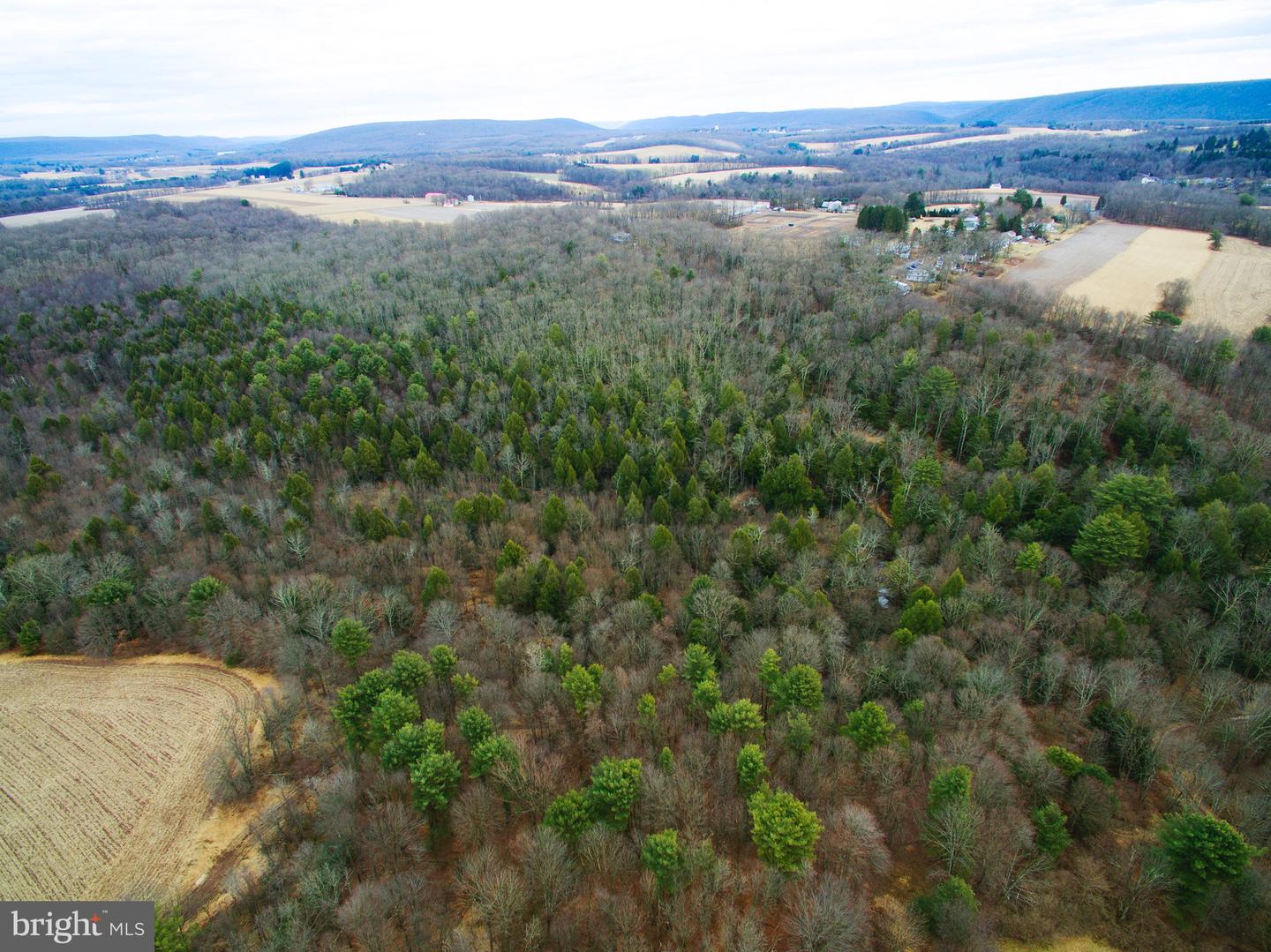 Grier Avenue, Barnesville, Pennsylvania image 1