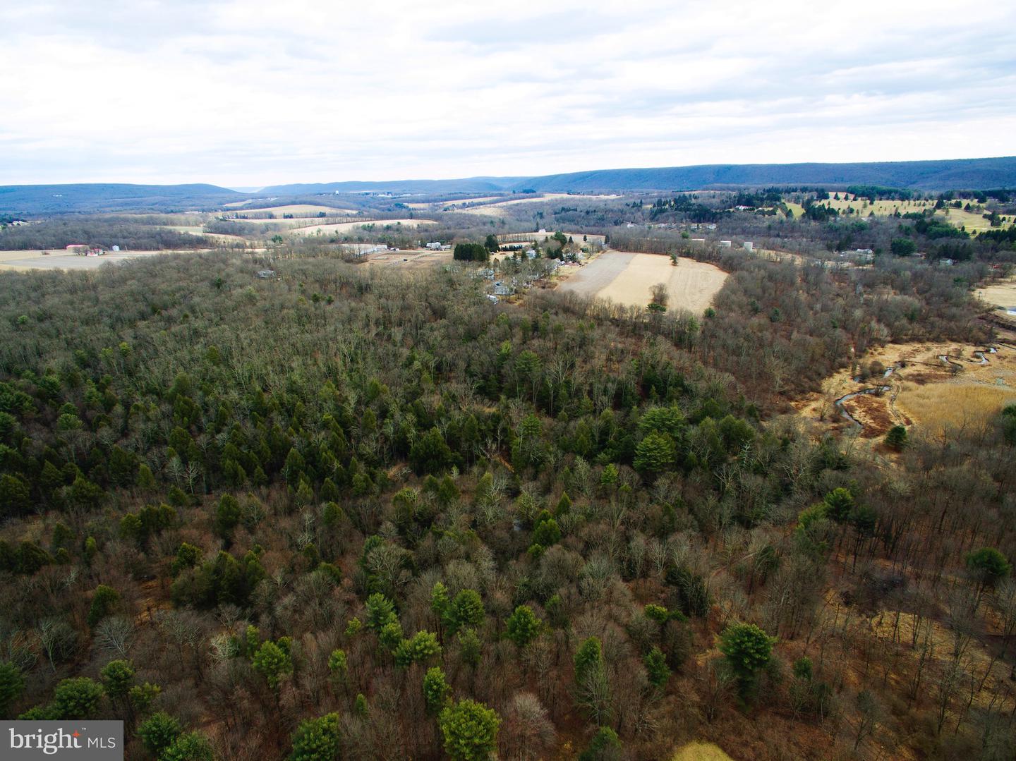 Grier Avenue, Barnesville, Pennsylvania image 3