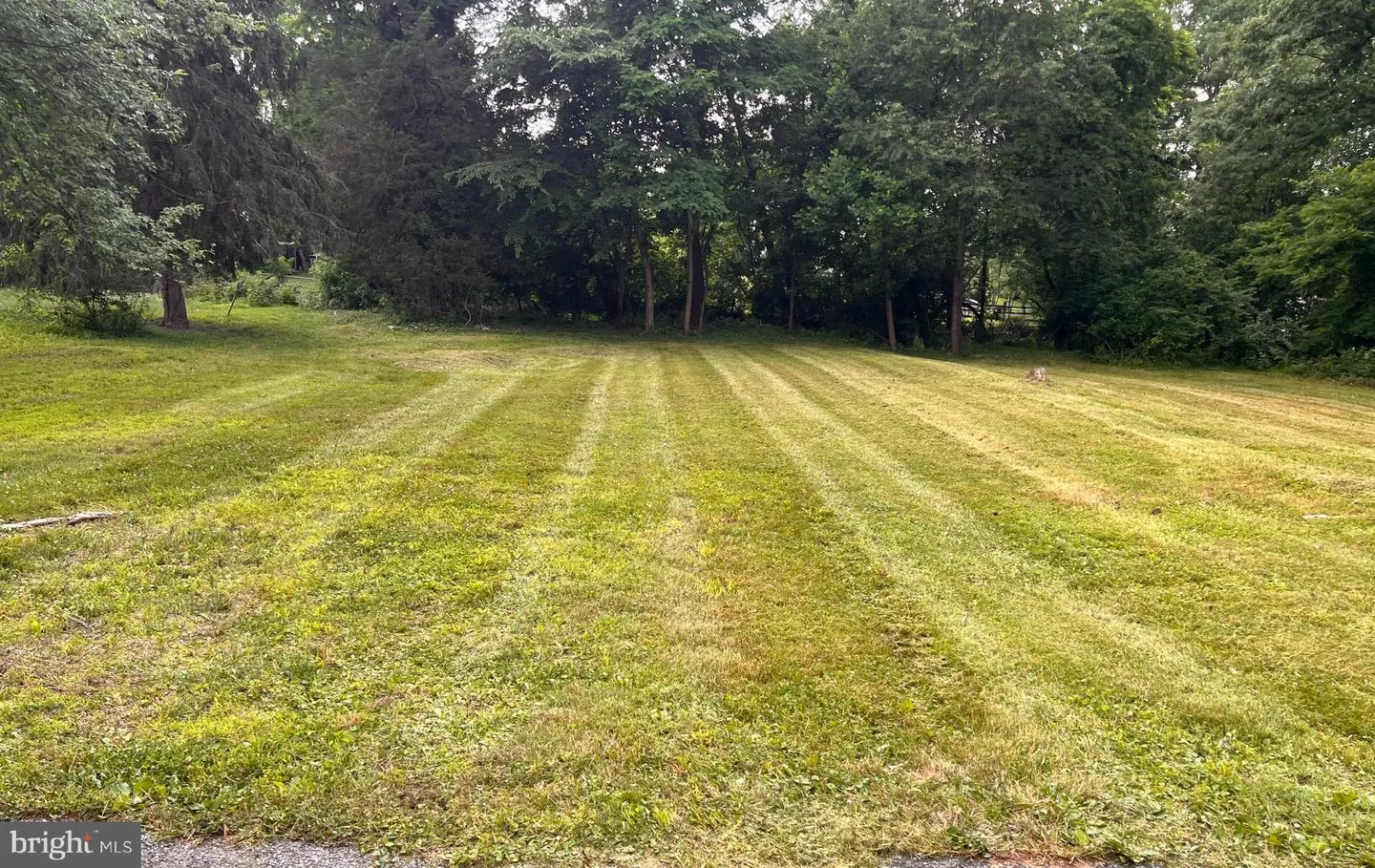 1315 Blackhorse Hill Road