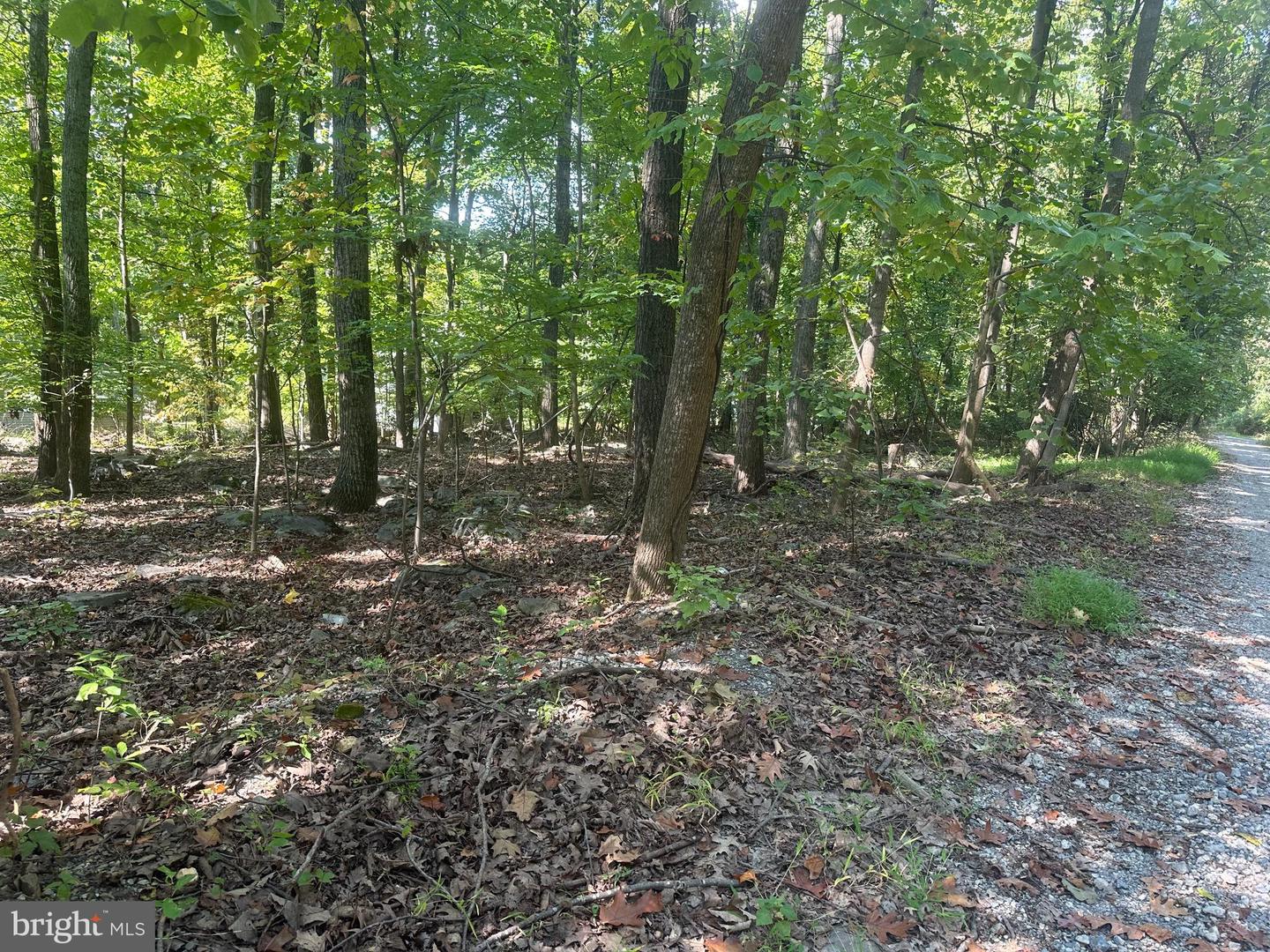 Mill Stone Run, Harpers Ferry, West Virginia image 3