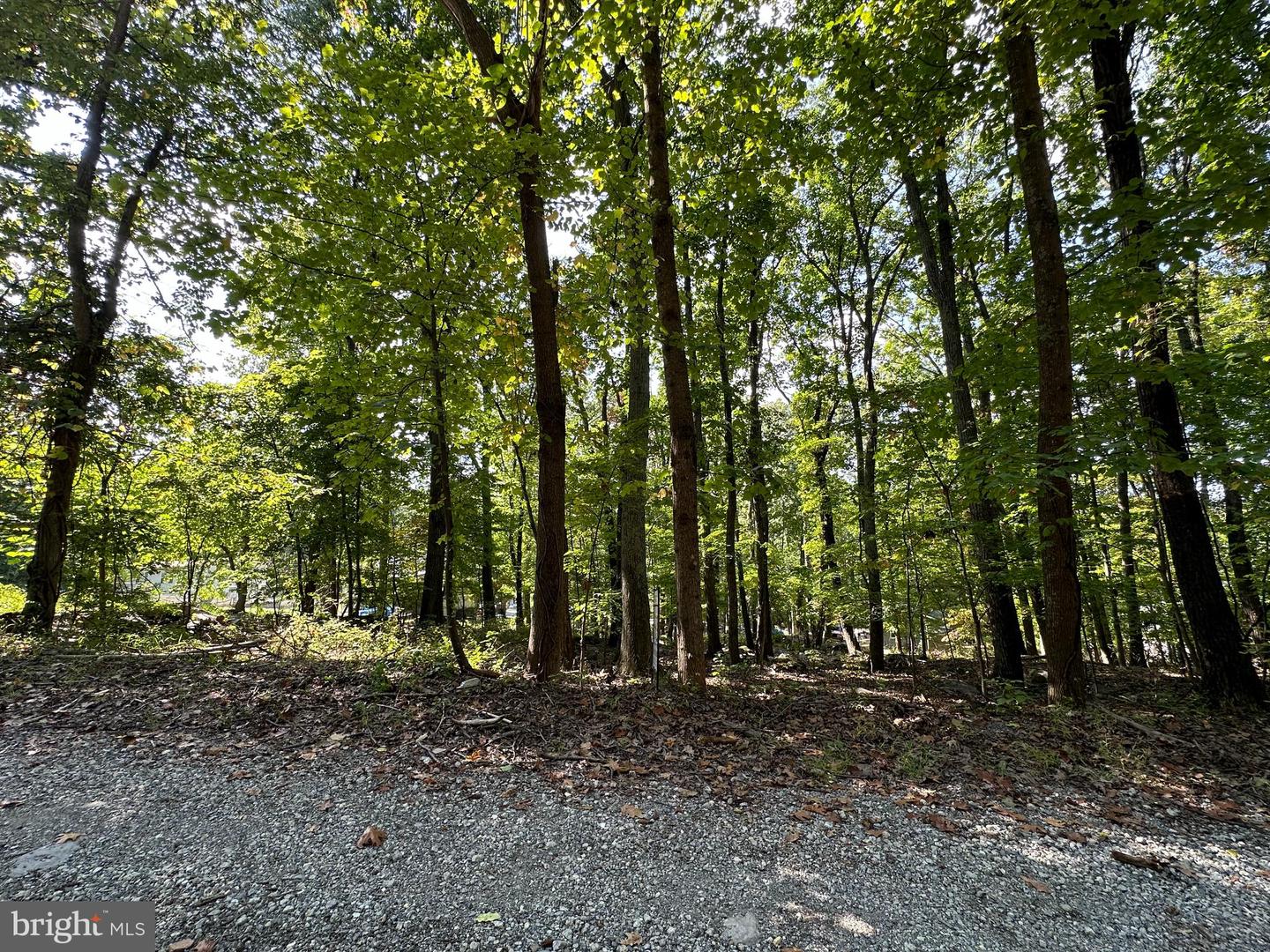 Mill Stone Run, Harpers Ferry, West Virginia image 1