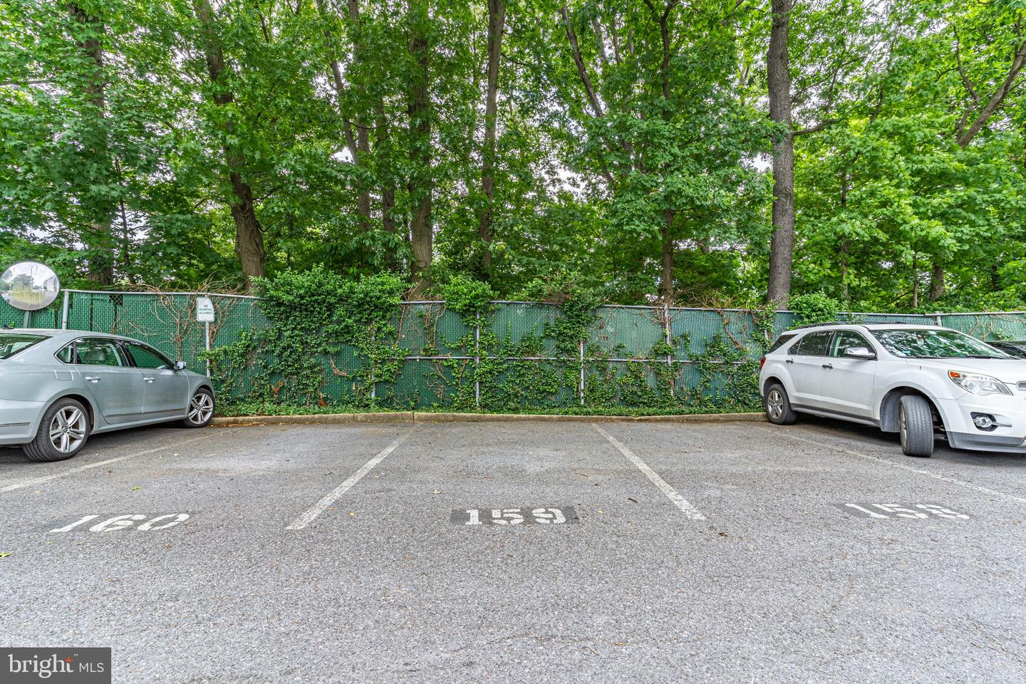 7333 New Hampshire Avenue #106, Takoma Park, Maryland image 14