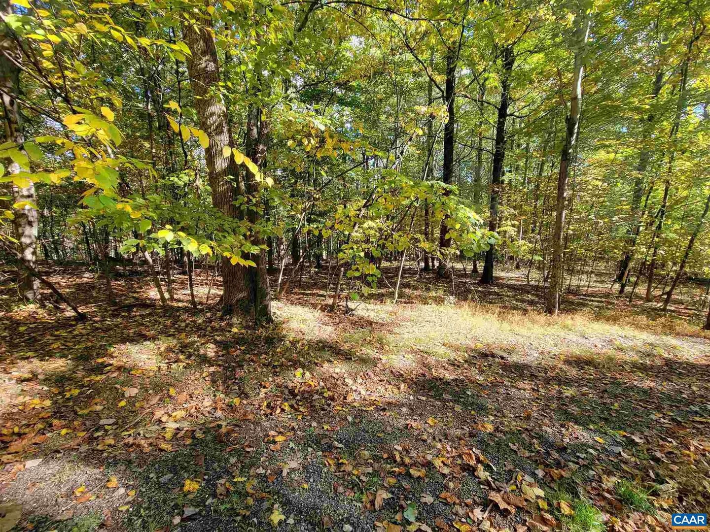 41 Hickory Spring Rd, Wintergreen Resort, VA, 22967