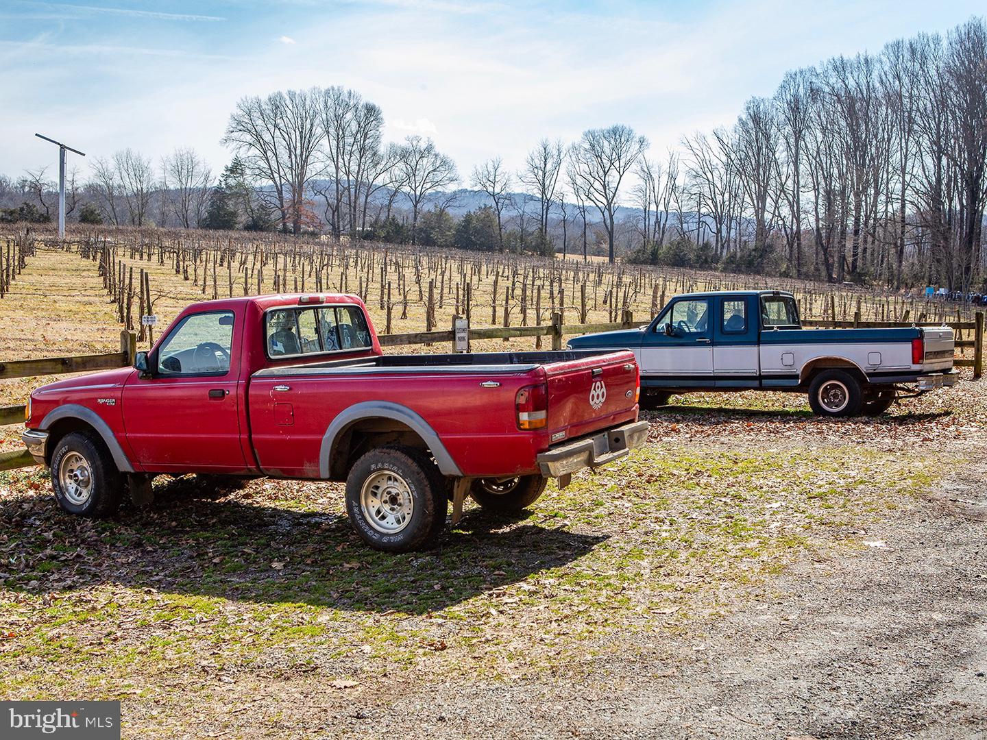 4500 Winery Lane, Barboursville, Virginia image 33