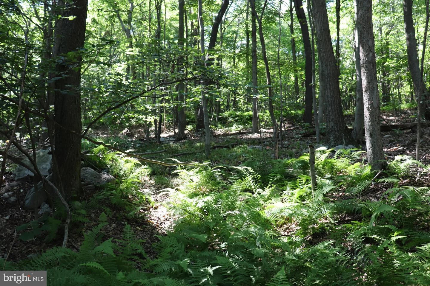 Lot 312 Ridge Run, Claysburg, PA, 16625